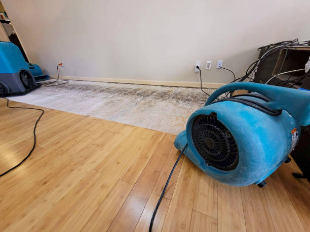 Professional Flood Damage Cleanup technician working in Addison, TX